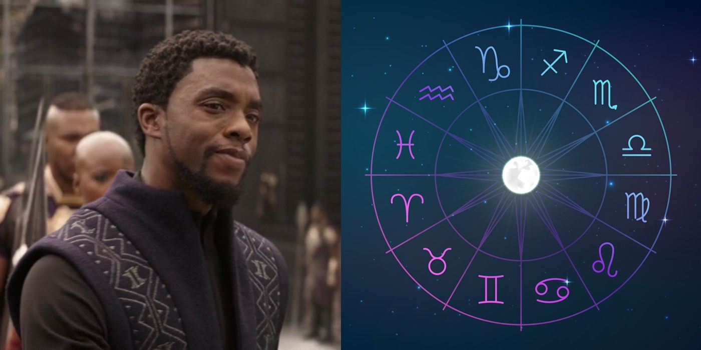 Black Panther Which Character Are You Based on Your Zodiac Sign