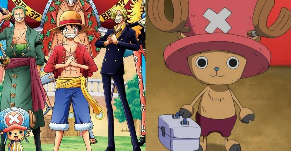 One Piece 10 Funniest Running Gags Ranked Screenrant One Piece 10 Funniest Running Gags Ranked Screenrant