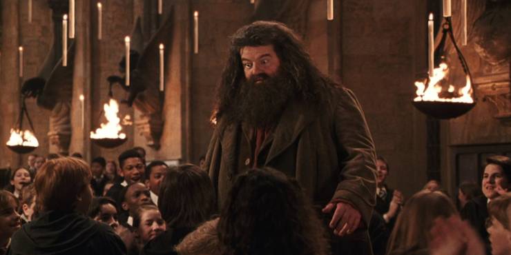Hagrid-at-the-end-of-term-feast.jpg (740×370)