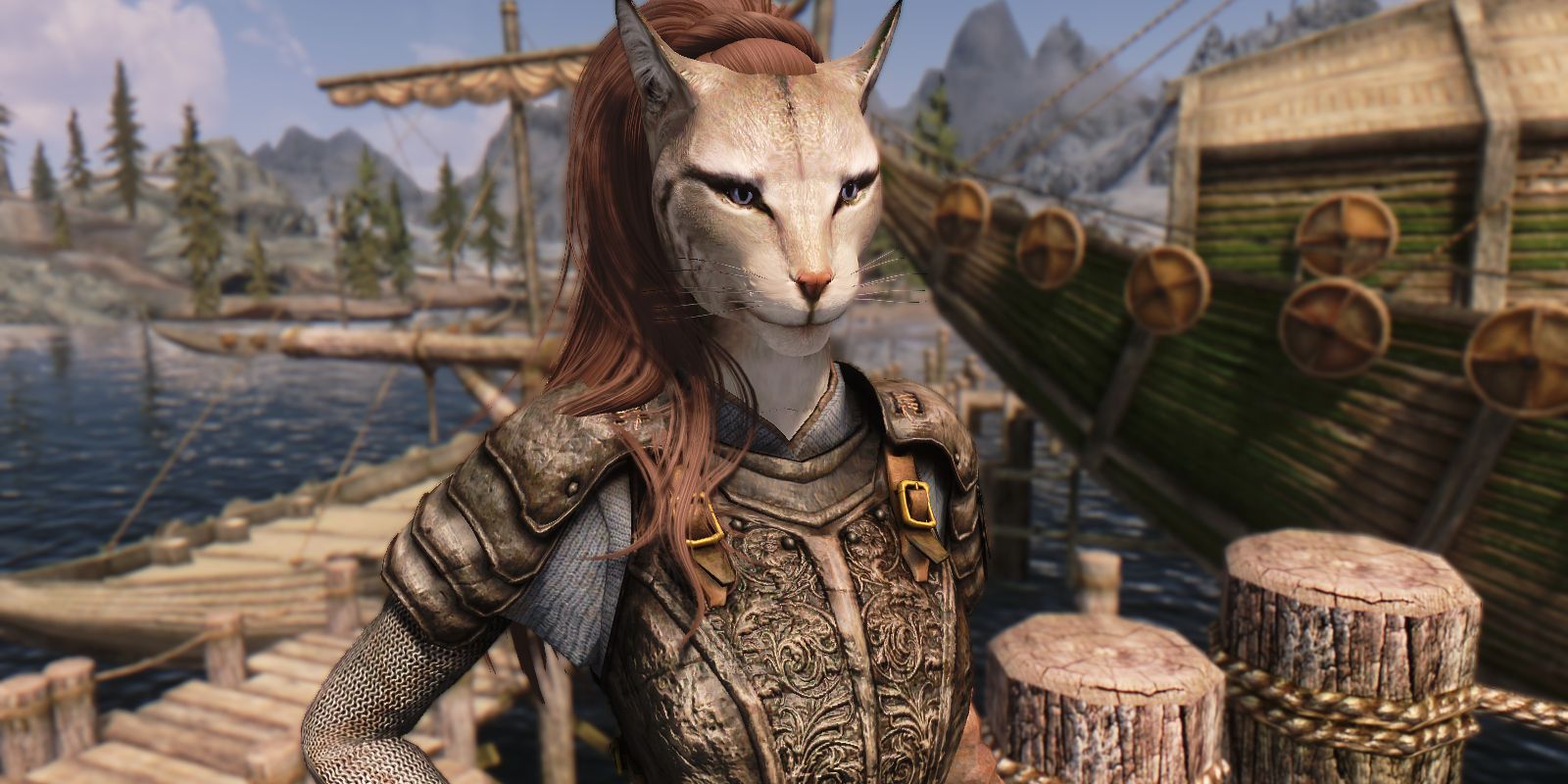 Elsweyr is local to the Khajiit, the sequence’ cat-like playable ...