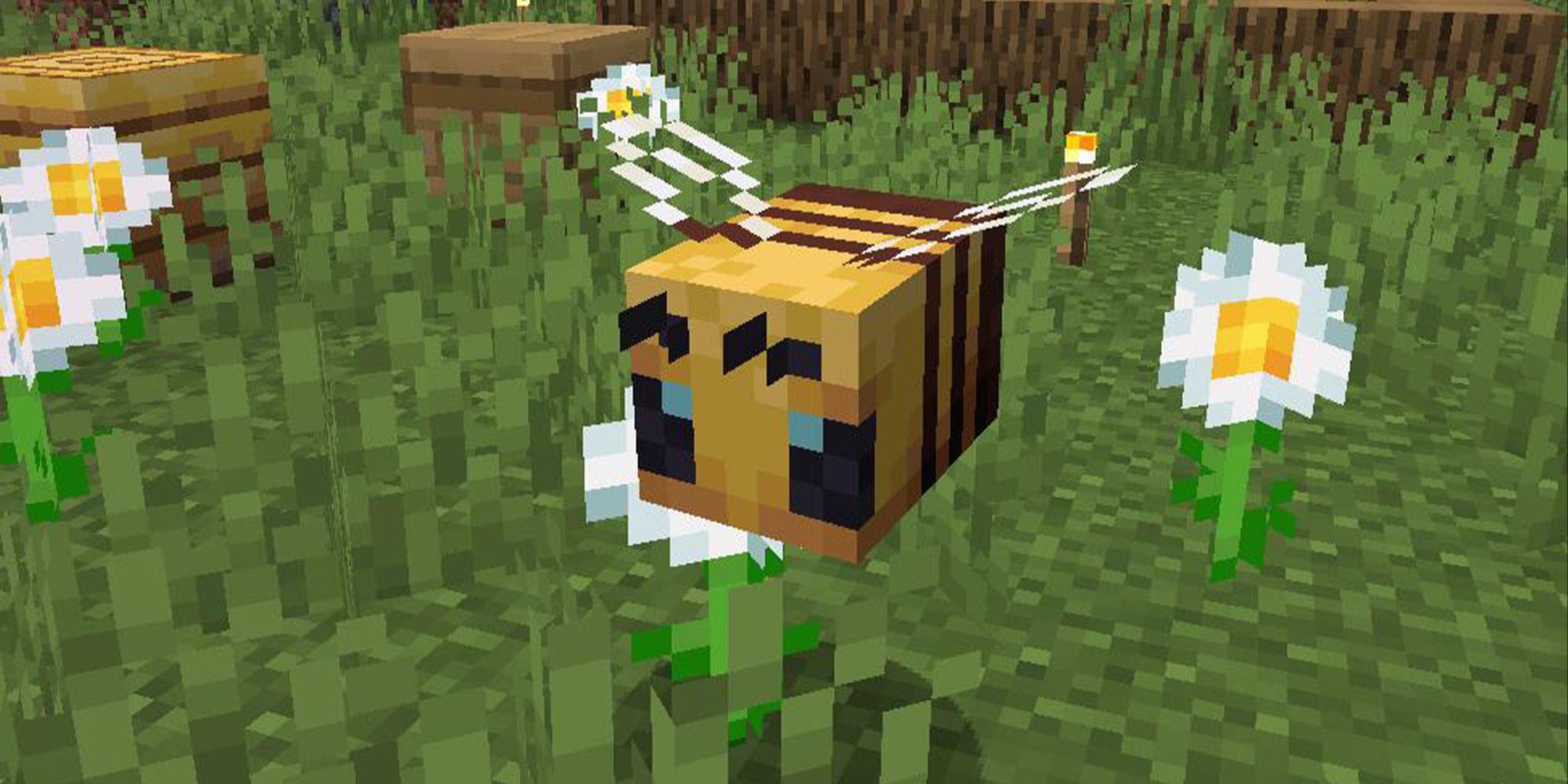 How To Find Harvest Bees In Minecraft Screen Rant