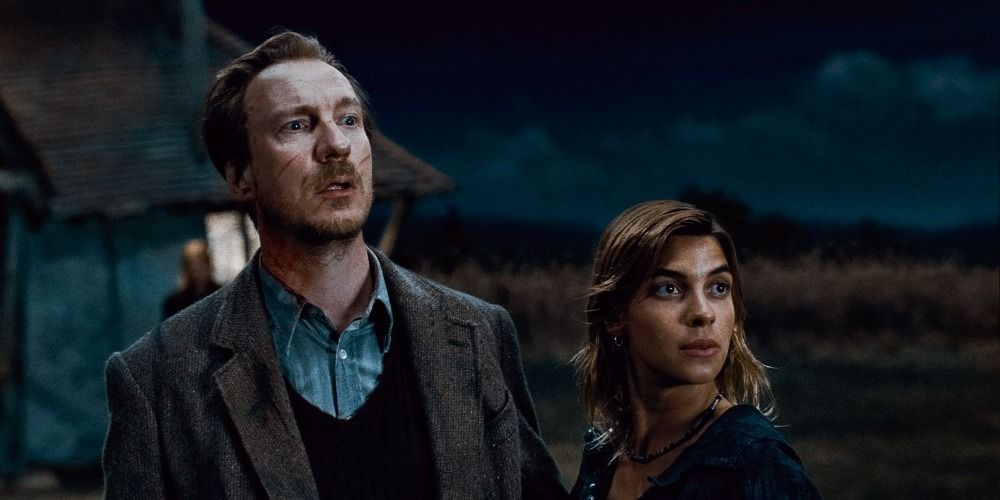 Remus Lupin and Nymphadora Tonks from Harry Potter in a dark field looking up in worry