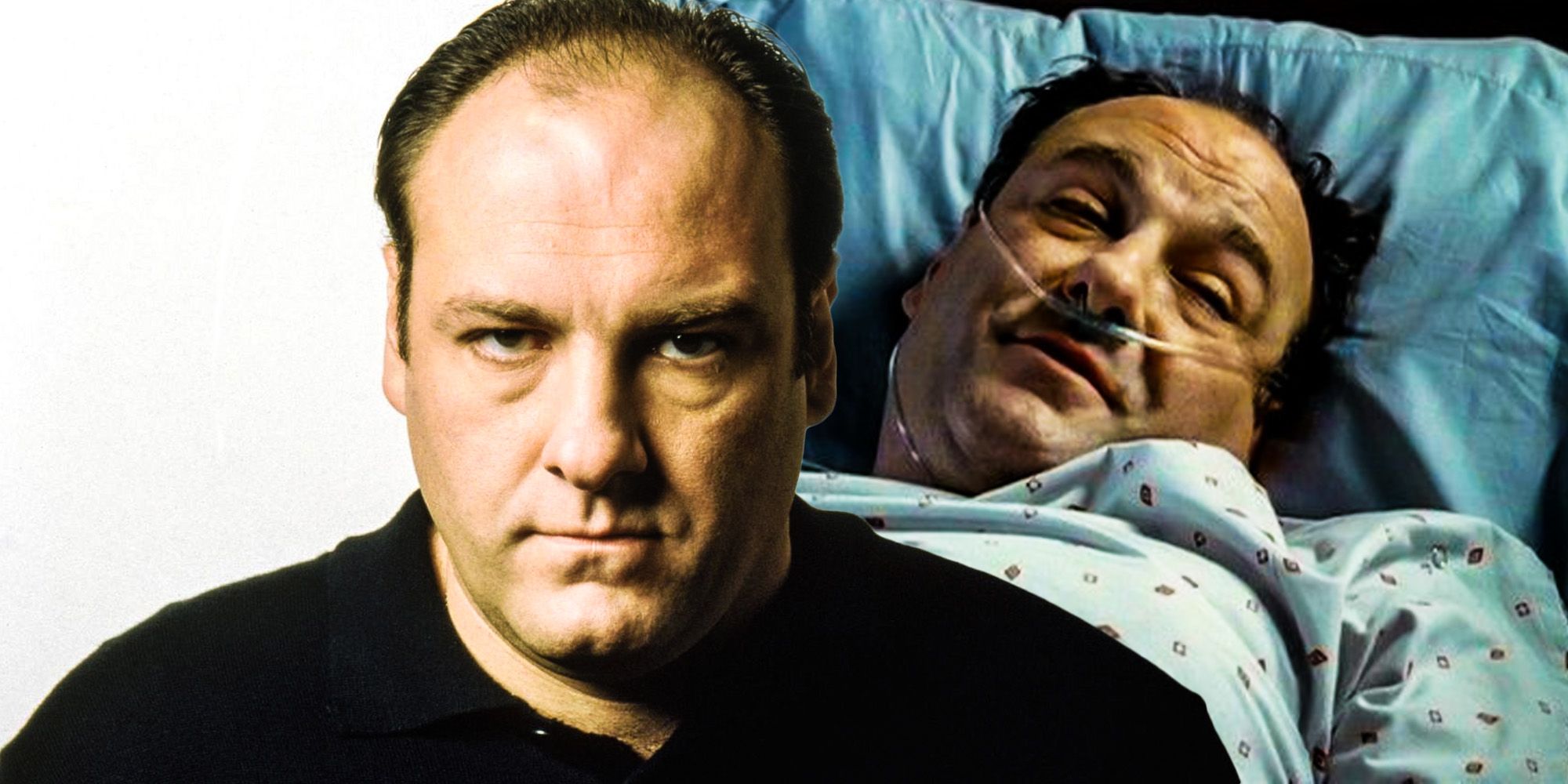 The Sopranos How Tonys Season 6 Coma Dream Set Up The Finale