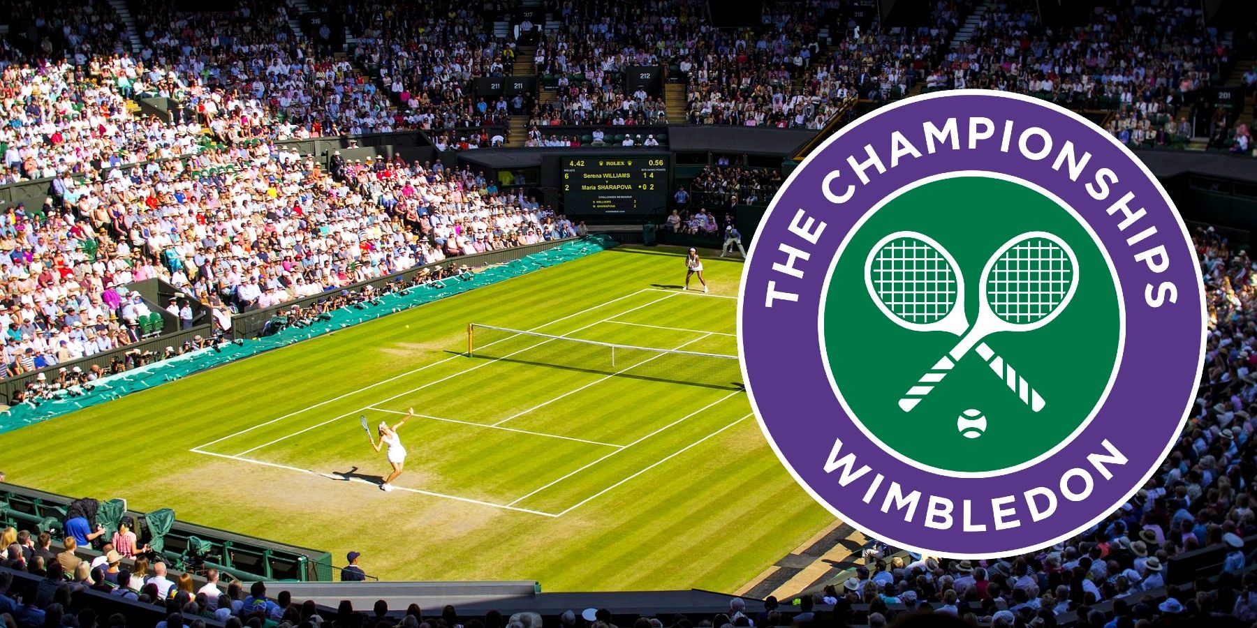 How much money will Wimbledon winners take home? Unveiling the prize