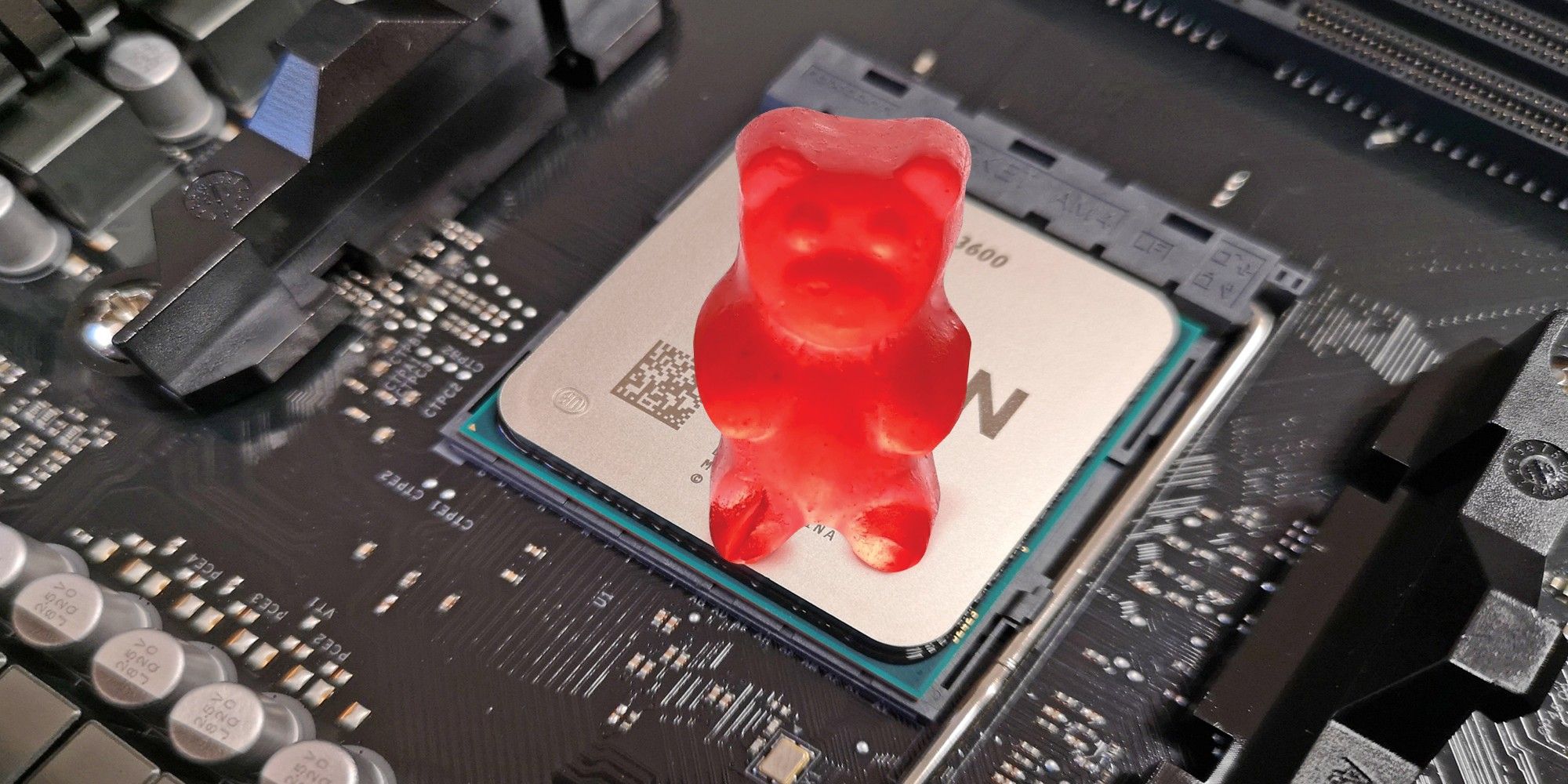 Heres What Happens When You Use A Gummy Bear On Your PC CPU