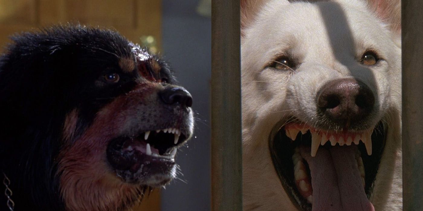10 best killer dog movies, ranked by IMDb Hot Movies News