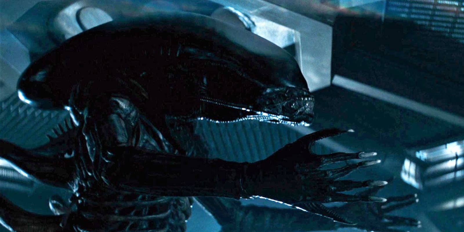 Alien 10 Important Things About The Xenomorph Designs That You Missed