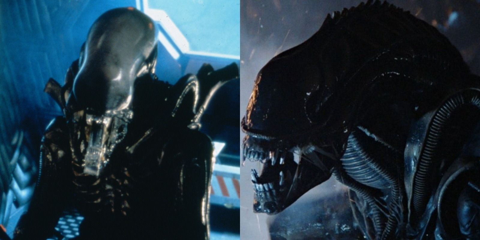 Alien 10 Important Things About The Xenomorph Designs That You Missed