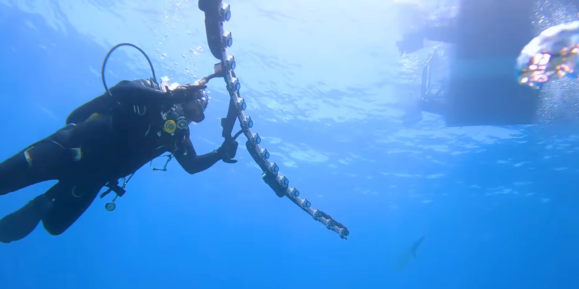 This Incredible Shark Footage Made Possible By Rig Of 21 Gopros