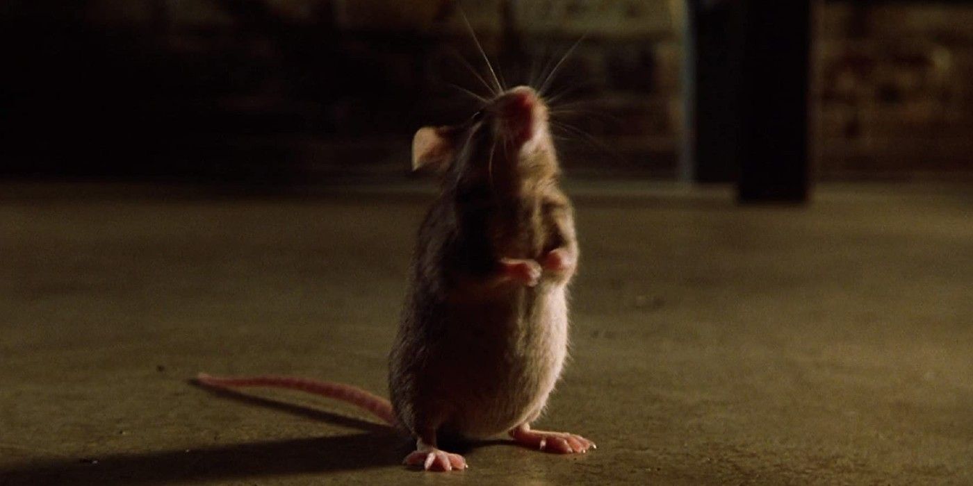The Green Mile What Mr Jingles Really Means Theory Explained