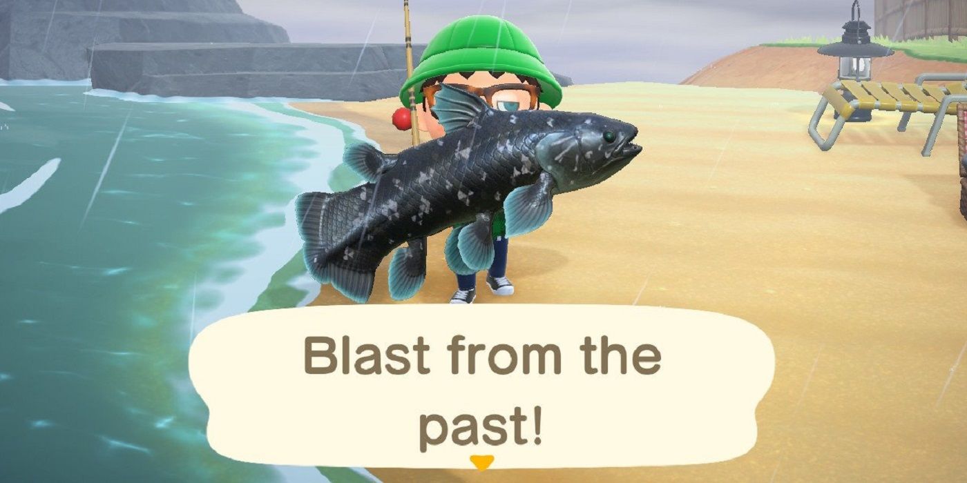 What Fish In Animal Crossing New Horizons Are Worth The Most