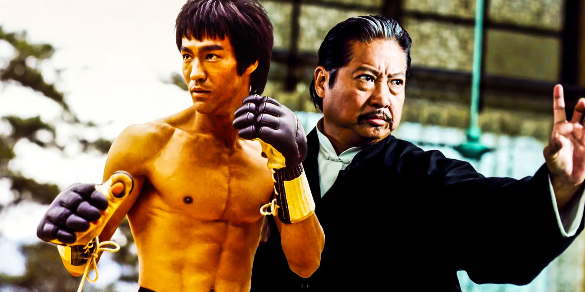 Bruce Lee vs Sammo Hung True Story Explained Who Won