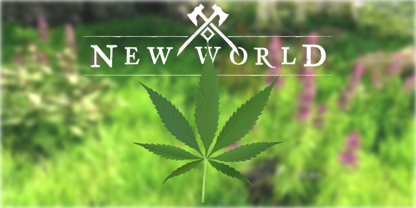 New World How to Find More Hemp (& What It’s For)