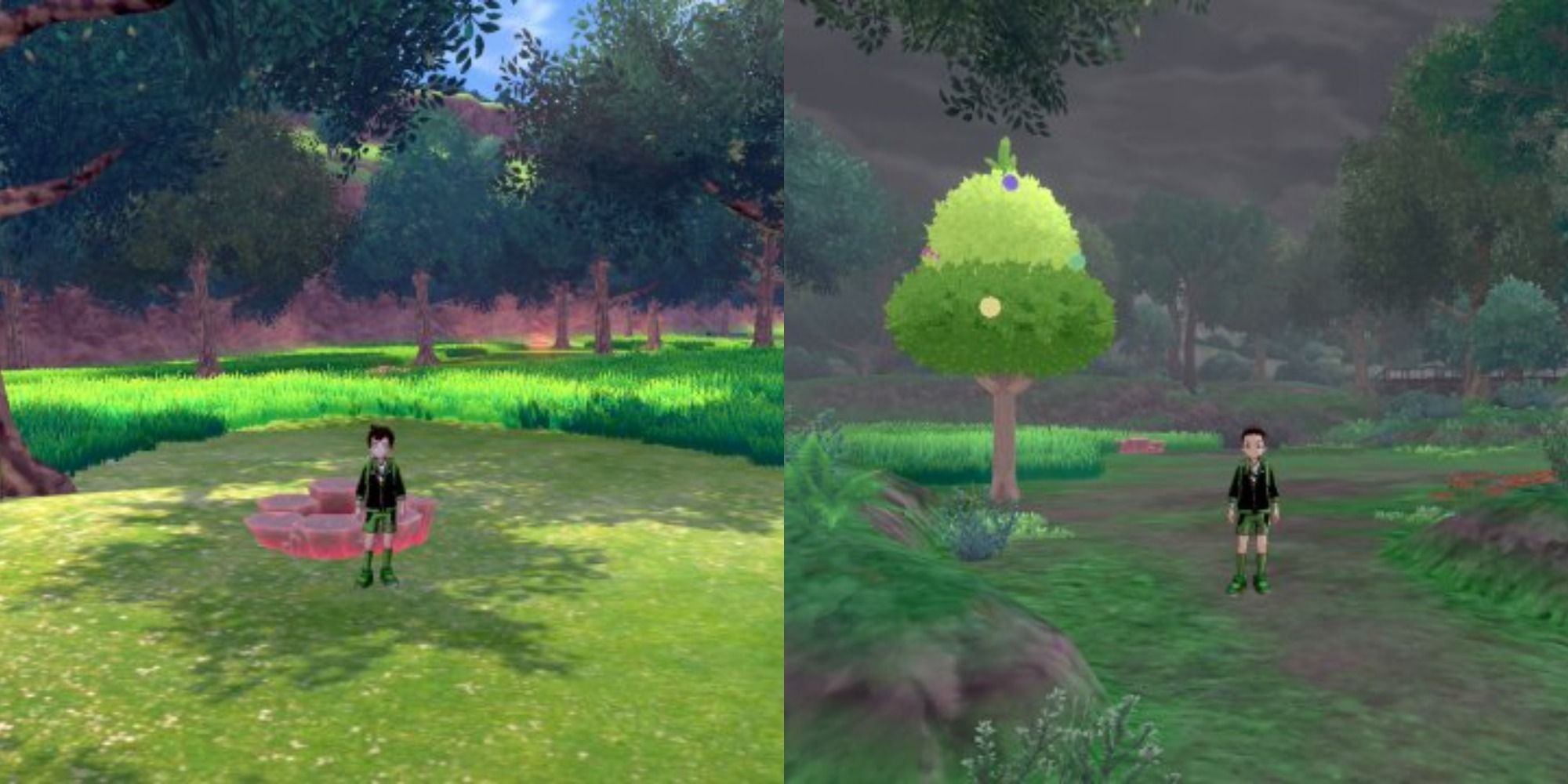 Pokemon Sword & Shield 10 Best Areas To Explore For GrassTypes