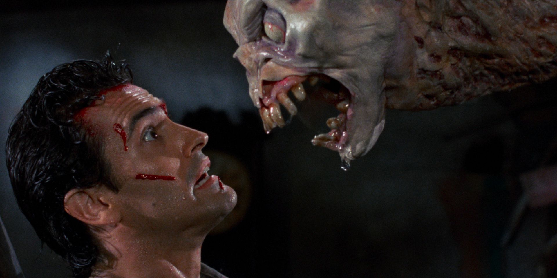 The Evil Dead II