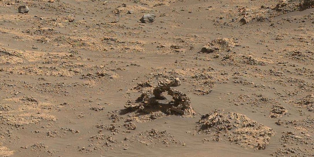 Mars Worms New Rover Photo Reveals Tiny Peculiar Rock Formation