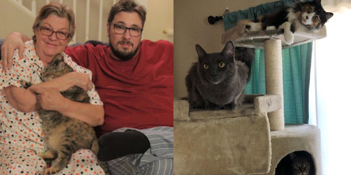 90 Day Fiancé Pics Of Cast Members With Their Beloved Fur Babies