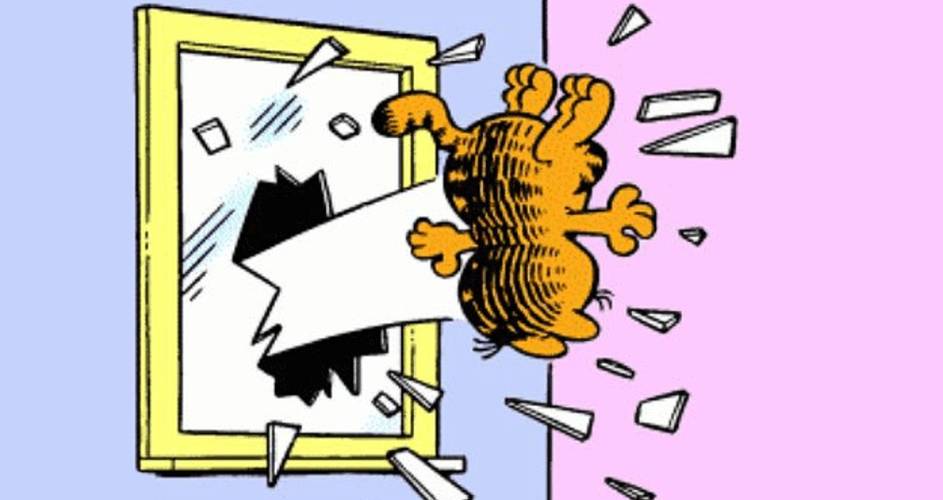 Garfield-thrown-through-a-window-yeetgarf.jpg