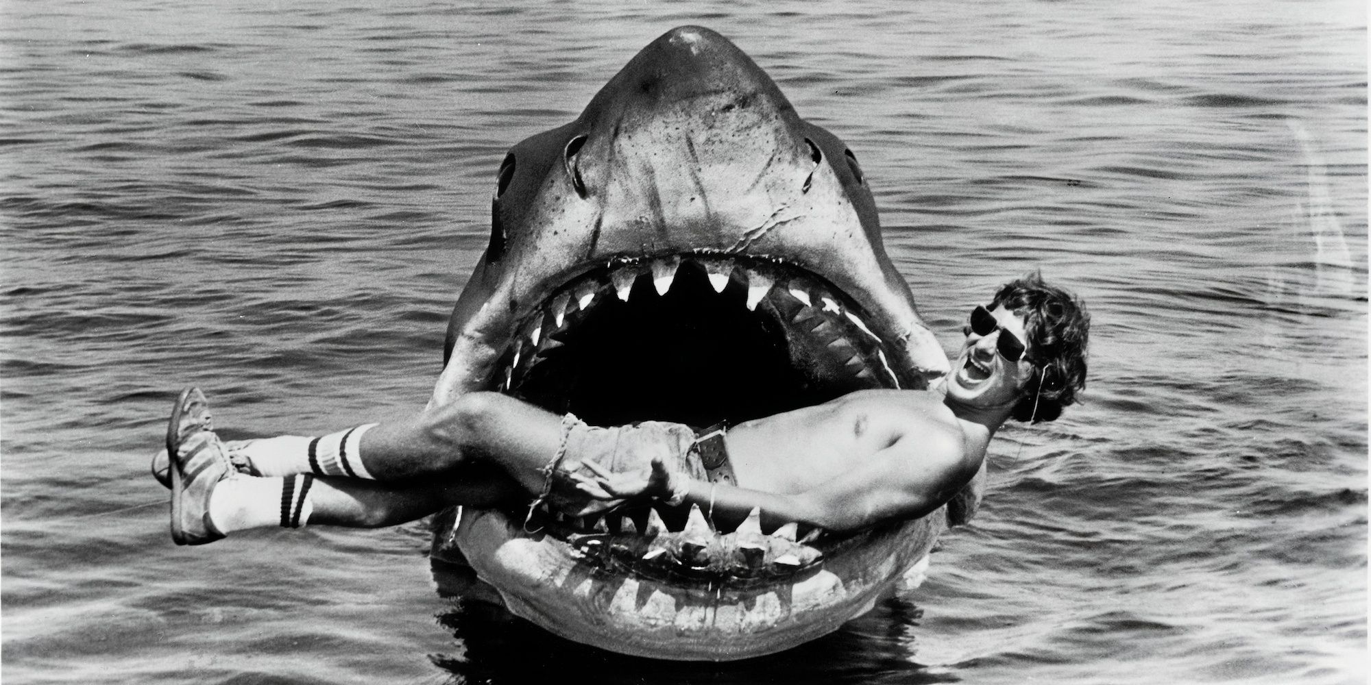Jaws 3’s Original Horror Concept Was Genius (& Why Spielberg Turned It Down)