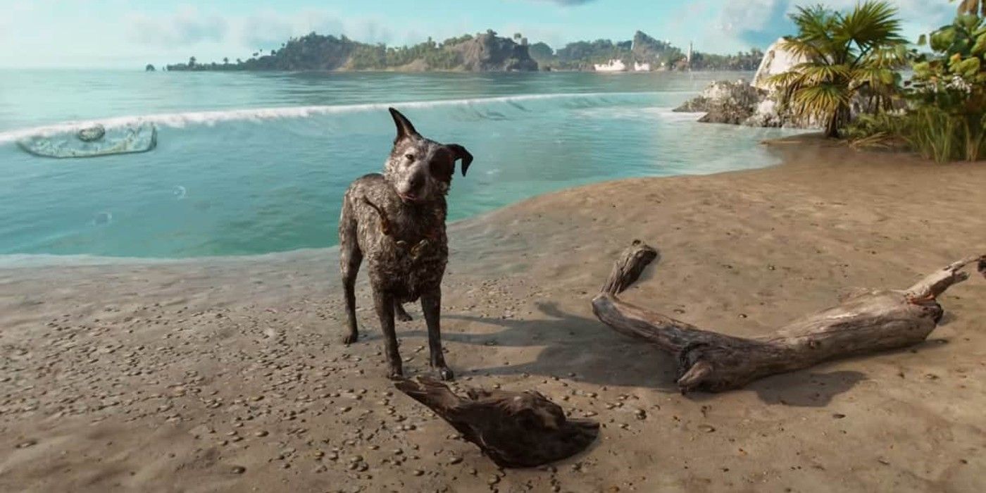 All Far Cry 6 Animal Companions Ranked Worst To Best