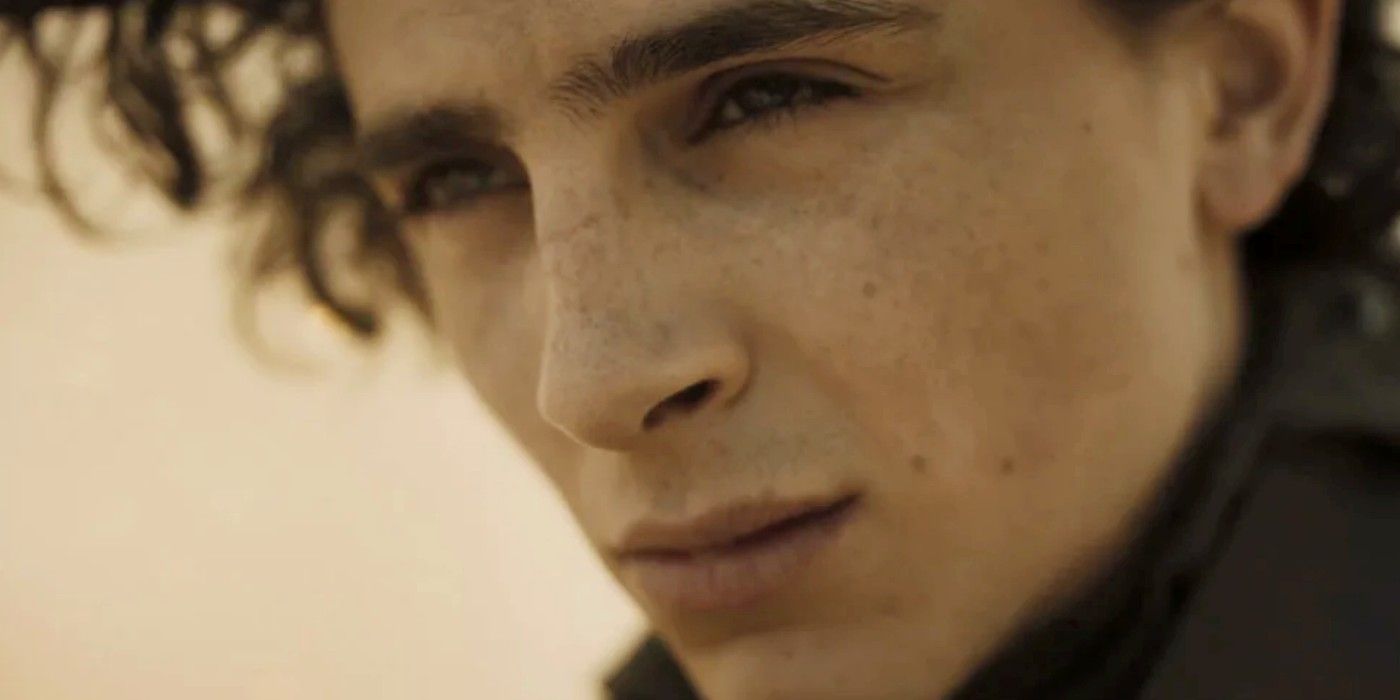 Este fim de semana provou que Timothée Chalamet é bilheteria ouro 1