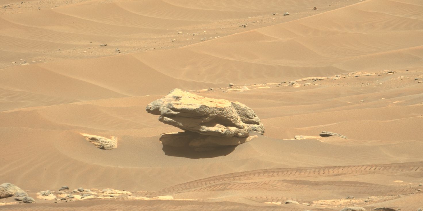 Perseverance Spots Freaky Mars Frog Rock Hanging Out On The Sand