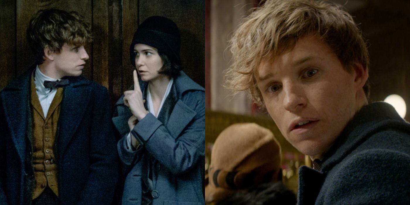 Fantastic Beasts 10 Newt Scamander Facts We Want To See In The Movies