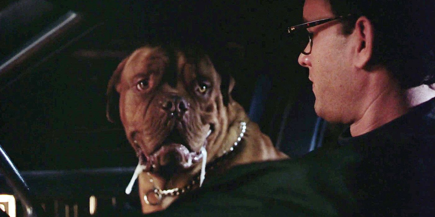 Turner & Hooch (1989) The 10 Funniest Quotes From The Movie