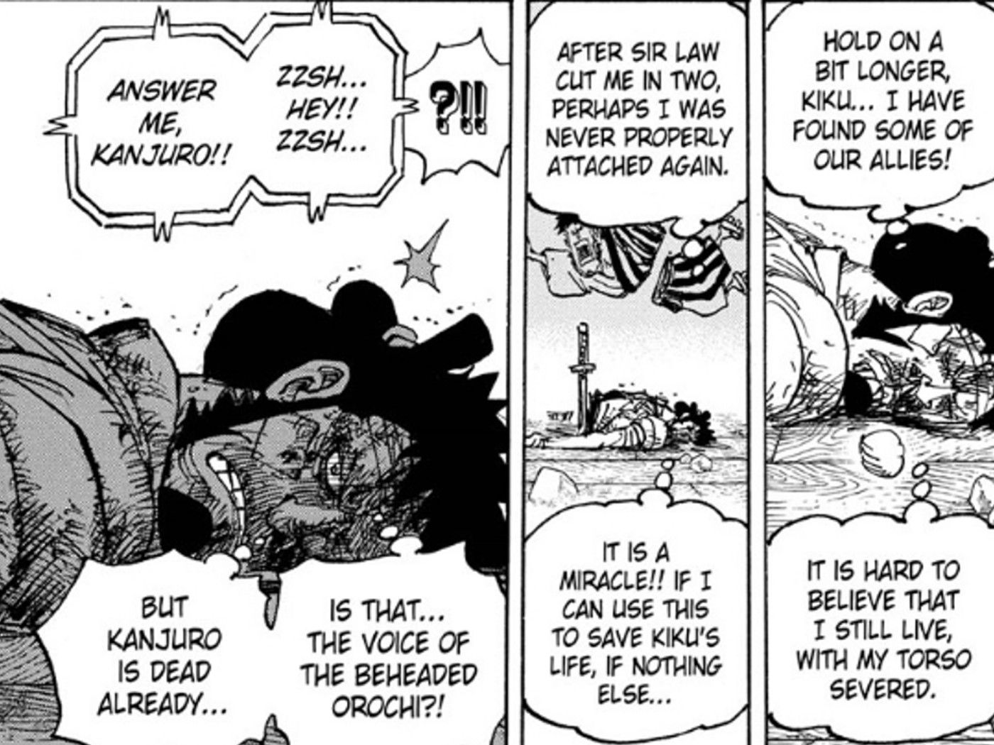 Why One Piece Fans Don T Respect Its Strongest Creature