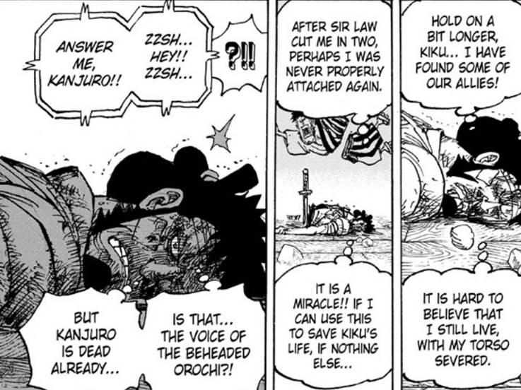 Why One Piece Fans Don T Respect Its Strongest Creature Why One Piece Fans Don T Respect Its Strongest Creature