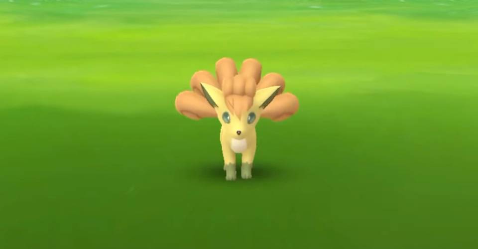 Pokemon Go How To Find Catch Shiny Vulpix Screen Rant Pokemon Go How To Find Catch Shiny Vulpix Screen Rant