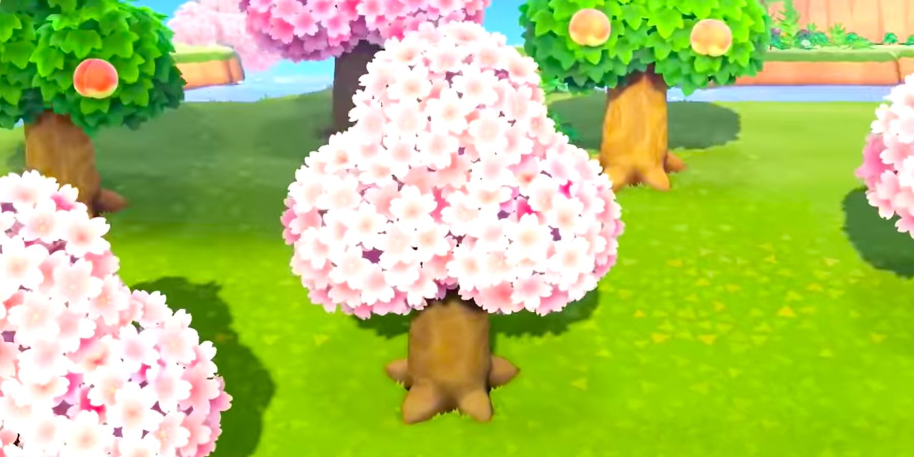 Animal Crossing Cherry Blossom Tree