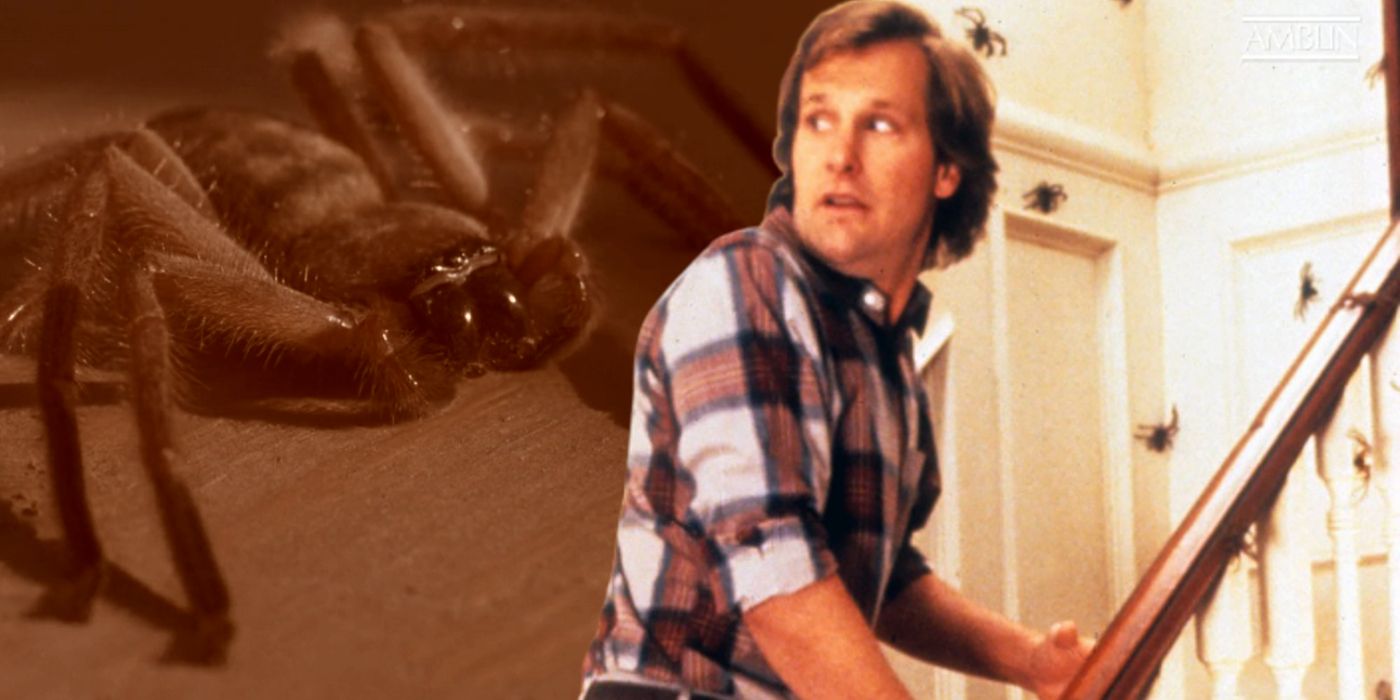 Jeff Daniels d'Arachnophobia obtient un ver tueur d'araignées nommé d ...