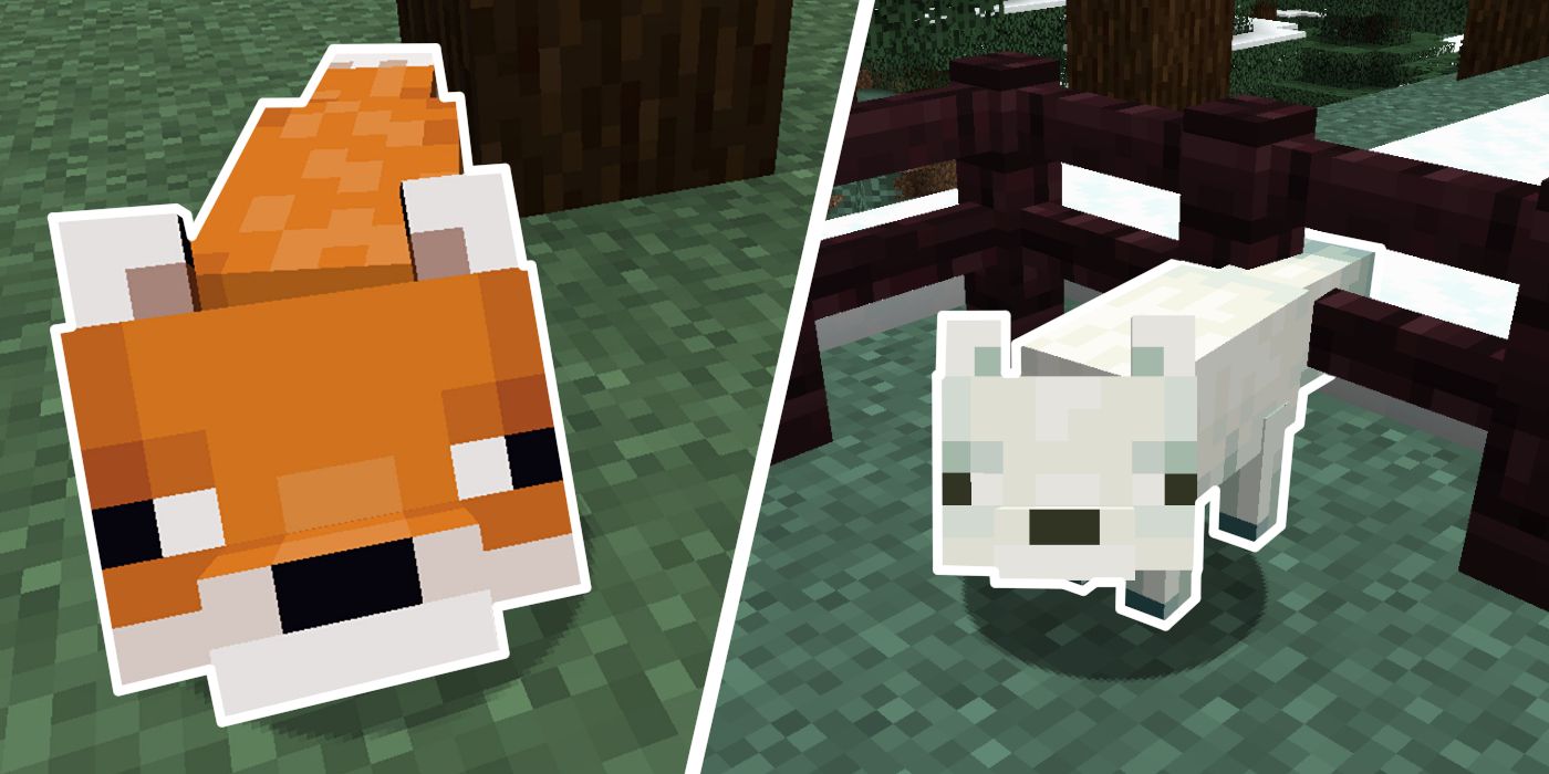 Minecraft: How to Breed Foxes | Screen Rant