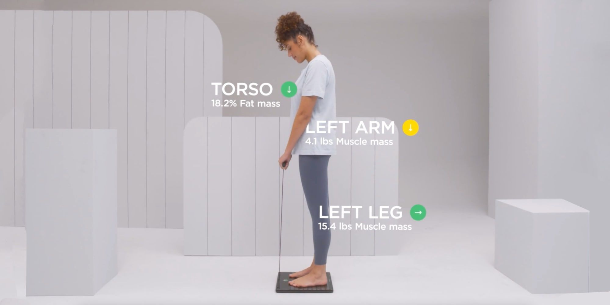 Камера в вк для сканирования. Withing body scan. Весы withings body scan. Withing body scan. Withing body scan.