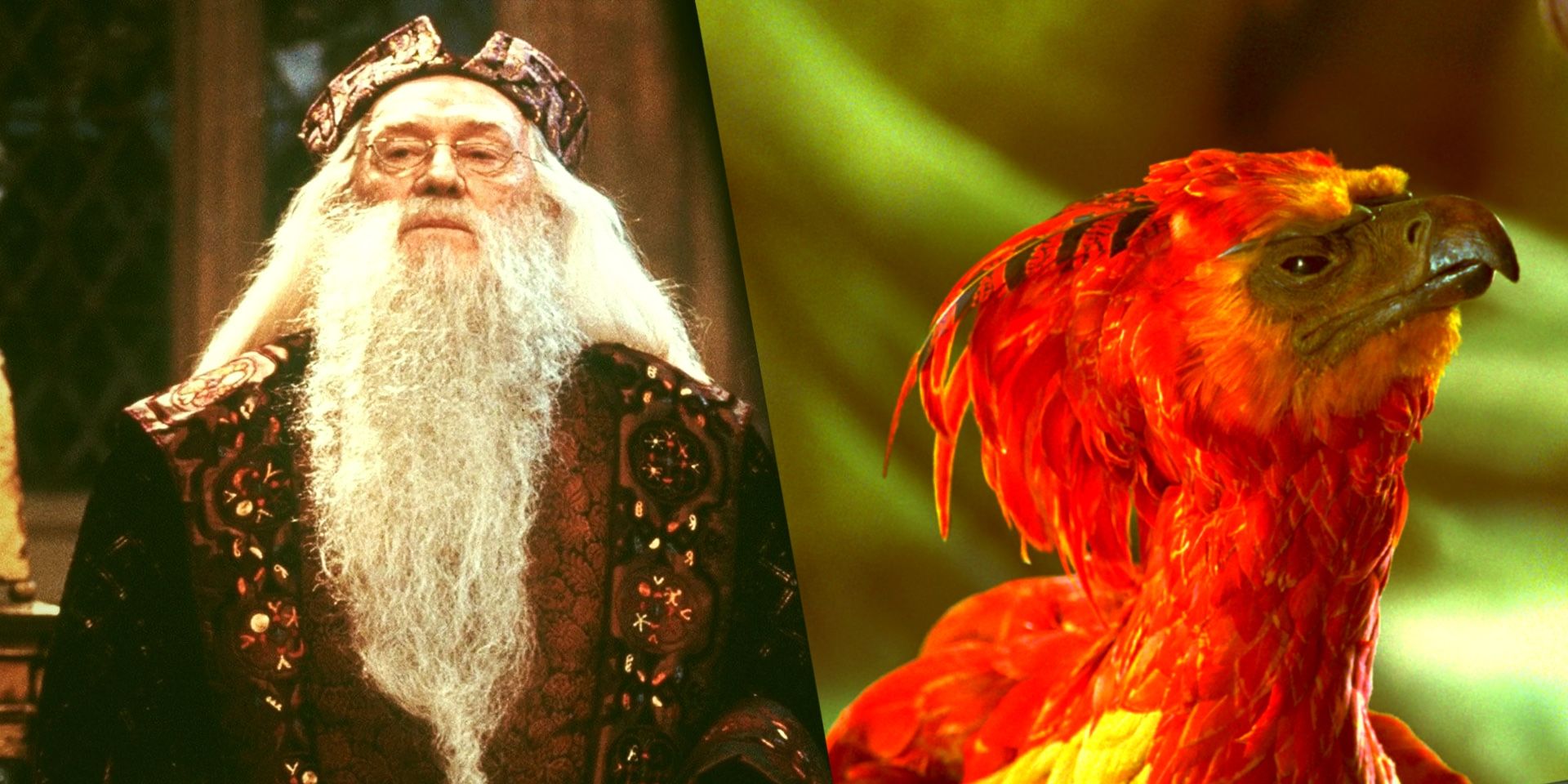 harry potter in hindi written harry potter in hindi written