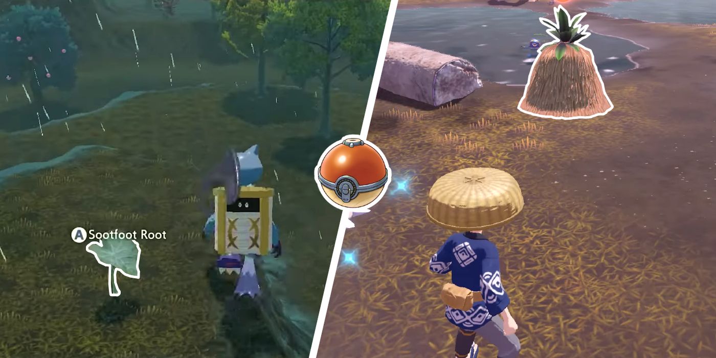 Pokémon Legends Arceus How to Get (& Use) Sootfoot Roots