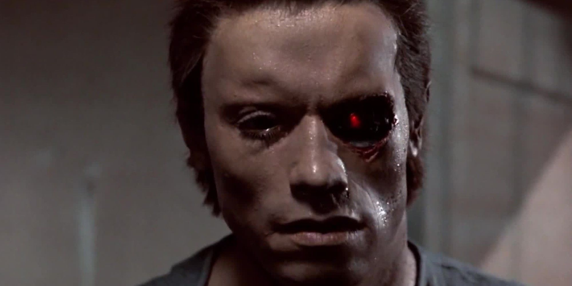 The Terminator Arnold Schwarzenegger as the T 800 Damaged