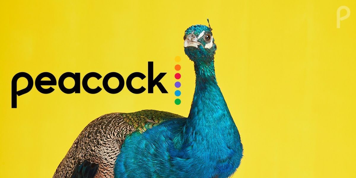 Peacock promotional image