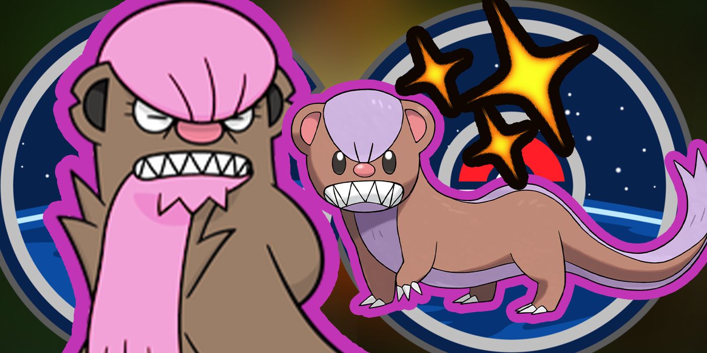 Pokemon Go How To Find Catch Shiny Yungoos Gumshoos