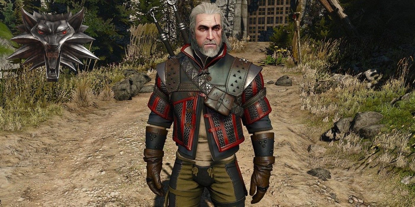 Every Witcher School Ranked Wolf