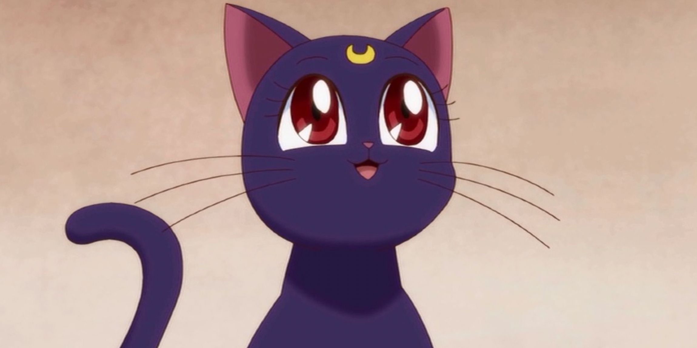 Luna looking up and smiling in Sailor Moon Crystal