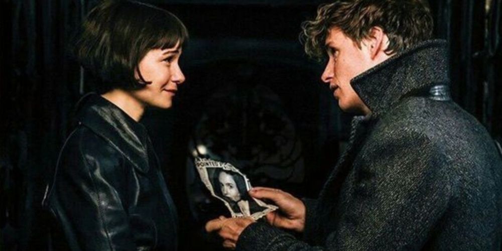 Newt Scamander showing a picture to Tina in Fantastic Beasts 2 Cropped 1