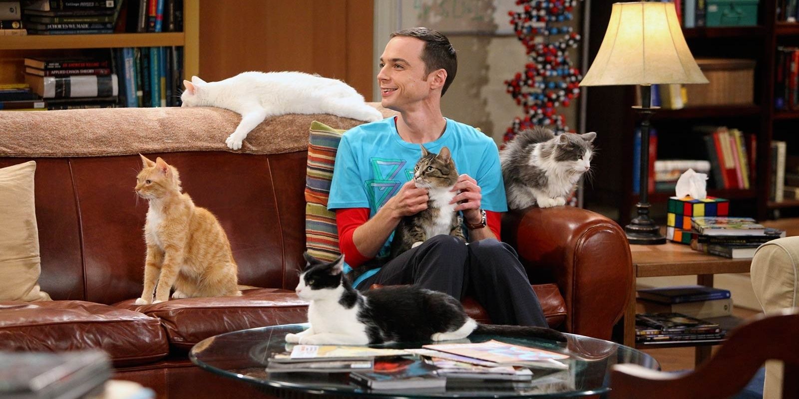 Sheldon with a bunch of cats in The Big Bang Theory Cropped