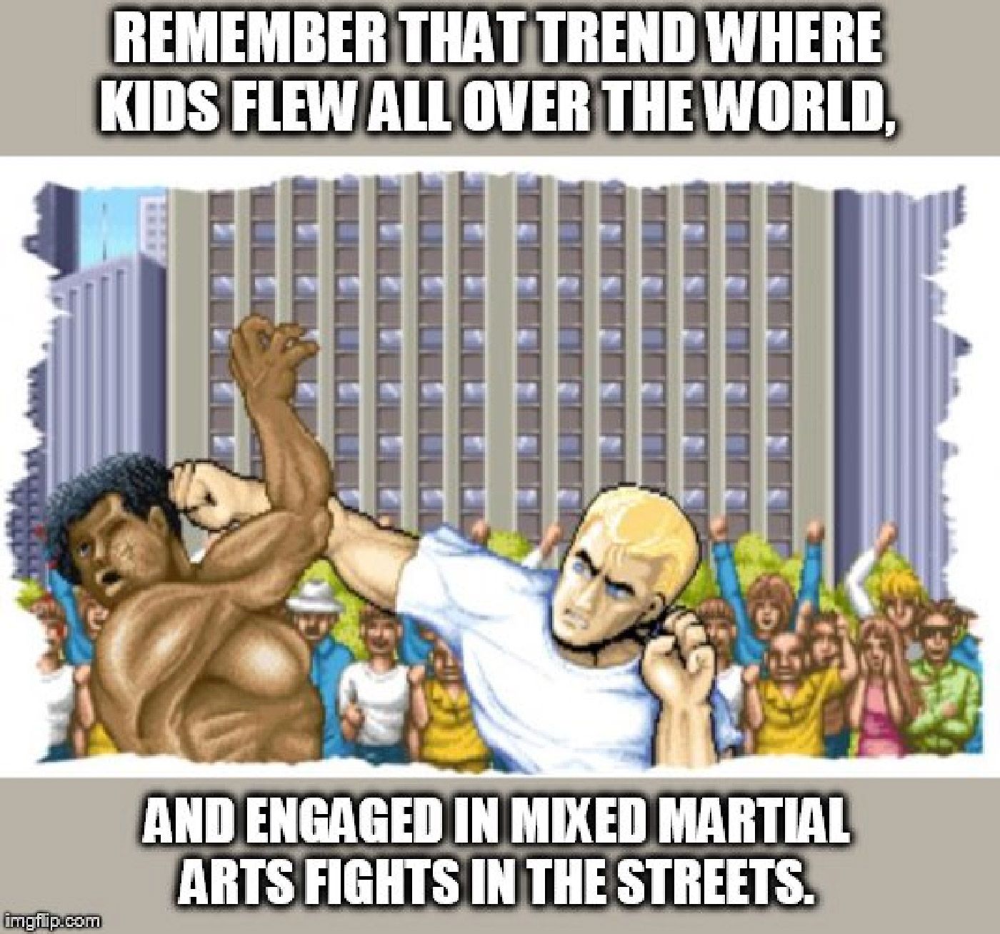 Street Fighter Memes World