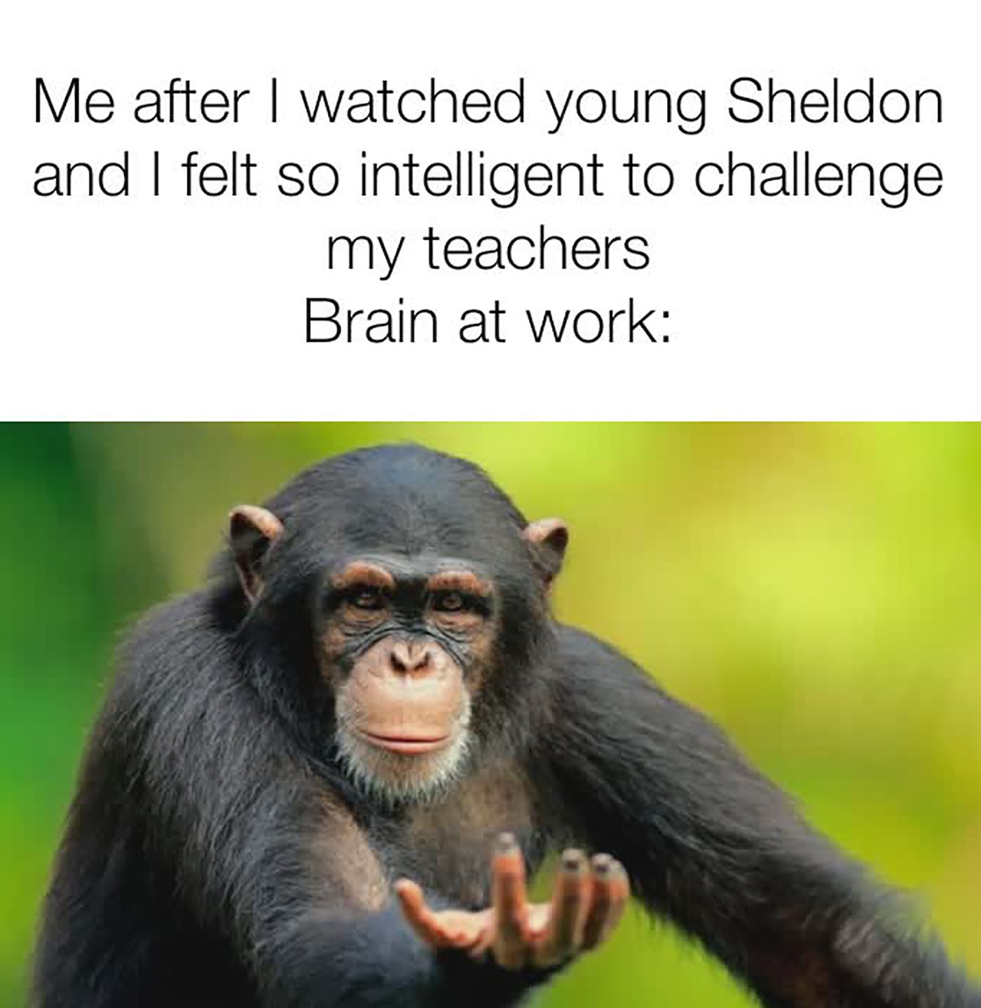 young sheldon memes brain at work