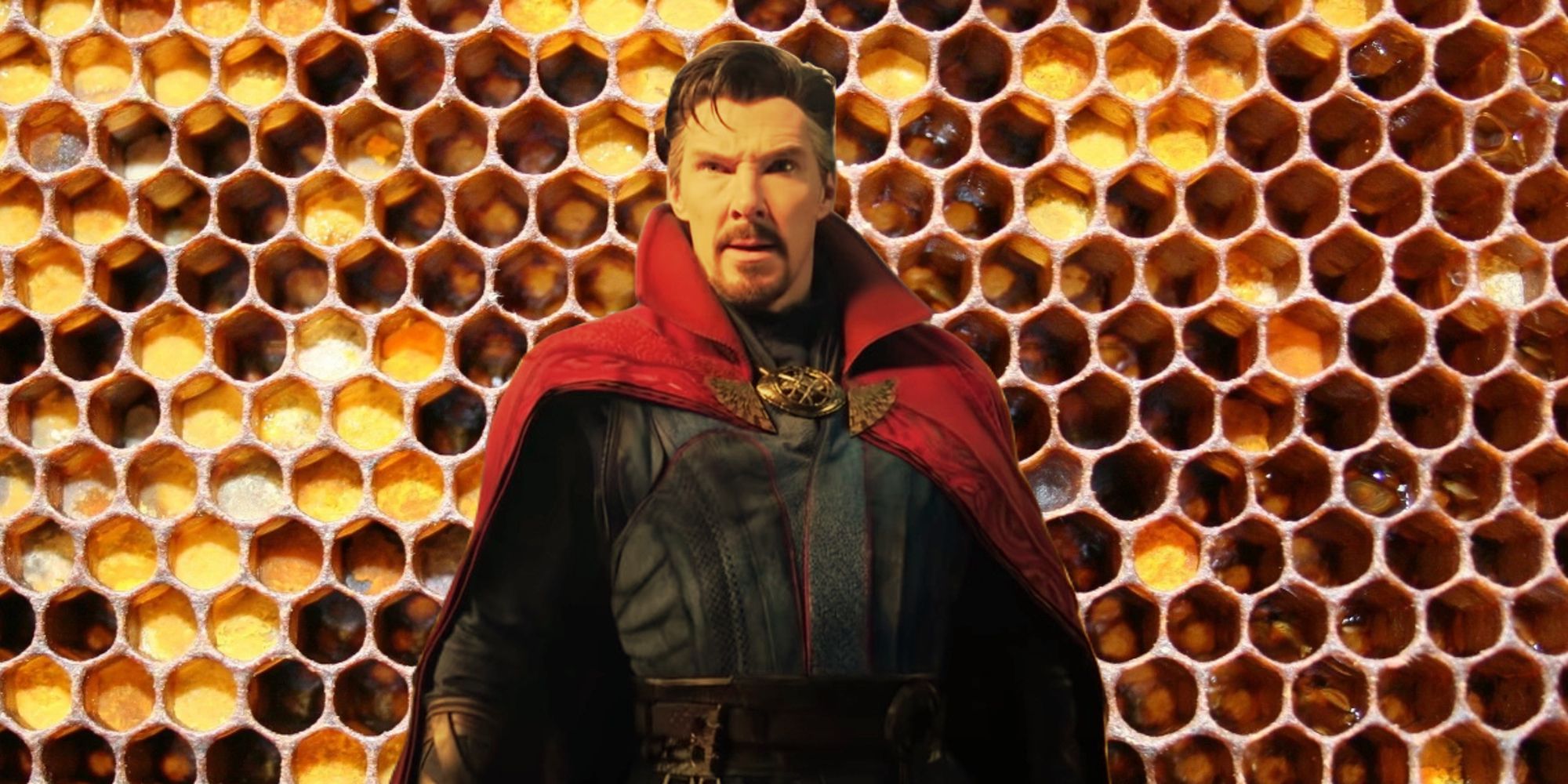 Doctor Strange in front of a beehive