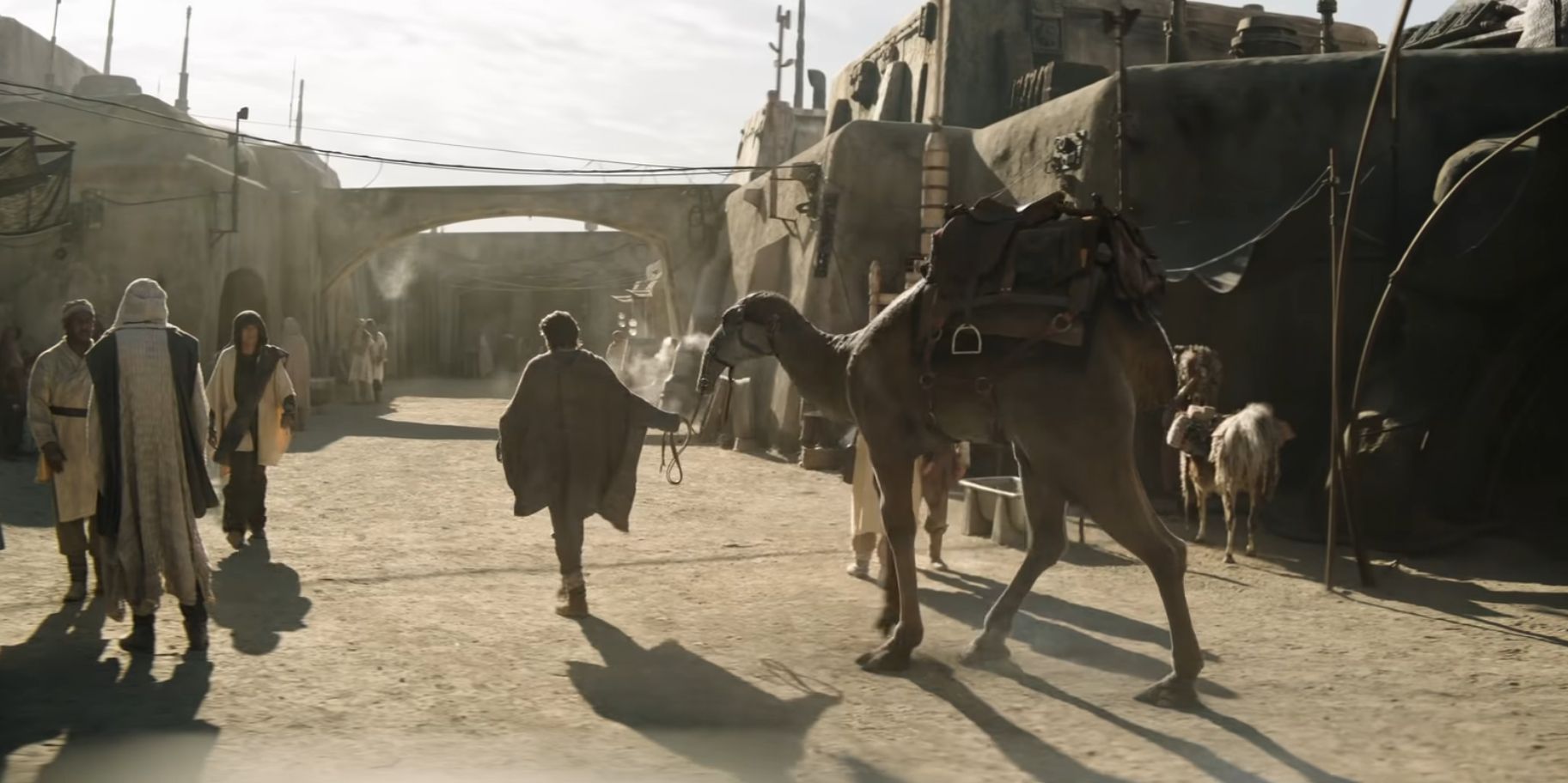 Ewan McGregor Formed An Adorable Bond With His Obi-Wan Kenobi Camel