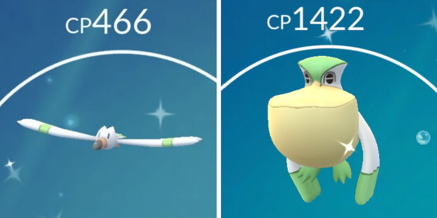 Pokémon GO: Wingull Spotlight Hour Guide