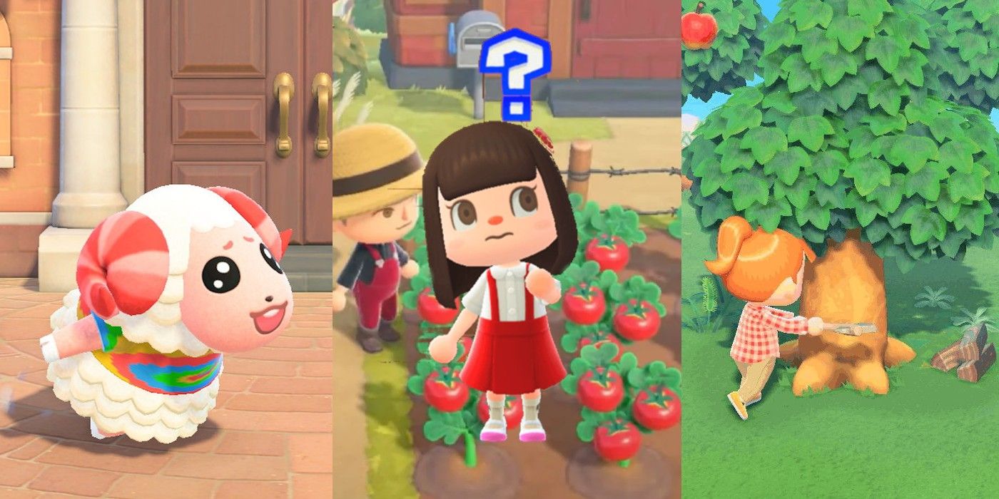 The Point of Animal Crossing 1